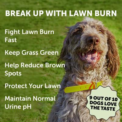 Show full view: Pet Honesty Grass Green Max Strength Duck Flavored Soft Chews Urine Neutralizer for Lawn Burn Spots & Digestive Support for Dogs, 90 Count slide 3 of 11