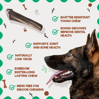 Show full view: Jack & Pup Whole Elk Antler Natural Flavor Dog Chew, X-Large slide 5 of 9