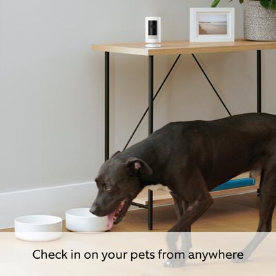 Show full view: Ring Stick Up Cam Outdoor WiFi Pet Camera, White slide 7 of 9