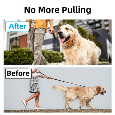 Show full view: Bousnic No Pull Pro-Training Quick Release Buckle Stainless Steel Prong Dog Collar, 22-in neck, 3.5-mm wide slide 5 of 9