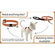 Show in main carousel: LupinePet Reflective Paws H-Style Cat Harness, Large: 12 to 20-in chest, Pink Paws slide 5 of 6