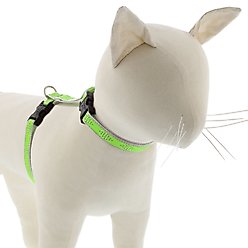 LupinePet Reflective Diamonds H-Style Cat Harness, Green Diamond, 12 to 20-in chest