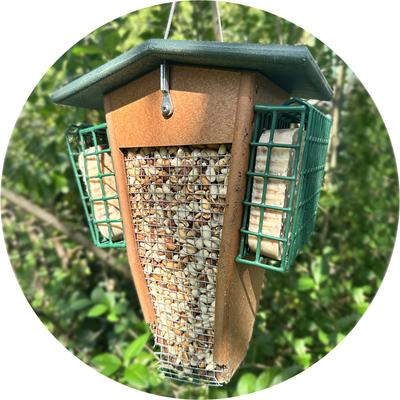 Show full view: Lyric Peanut Pieces High Energy Suet Cake Wild Bird Food, 12-oz tray, 12 count slide 9 of 9