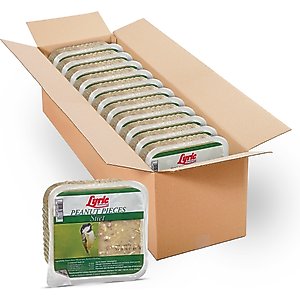 Lyric Peanut Pieces High Energy Suet Cake Wild Bird Food, 12-oz tray, 12 count