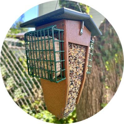 Show full view: Lyric Fruit & Nut Suet Cakes Wild Bird Food, 12-oz tray, 12 count slide 8 of 9