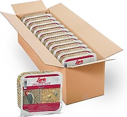 Lyric Fruit & Nut Suet Cakes Wild Bird Food, 12-oz tray, 12 count