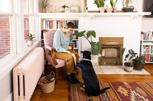 Show full view: Ring Pan-Tilt Indoor WiFi Pet Camera, Black slide 8 of 9