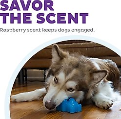 Outward Hound Gummiez Bear 2-in-1 Dental Dog Chew & Treat Dispensing Game Toy, Blue slide 2 of 8