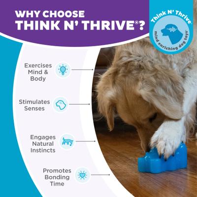 Show full view: Outward Hound Gummiez Bear 2-in-1 Dental Dog Chew & Treat Dispensing Game Toy, Blue slide 6 of 9