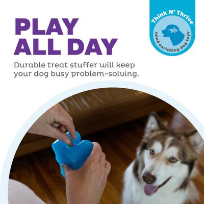 Show full view: Outward Hound Gummiez Bear 2-in-1 Dental Dog Chew & Treat Dispensing Game Toy, Blue slide 2 of 9