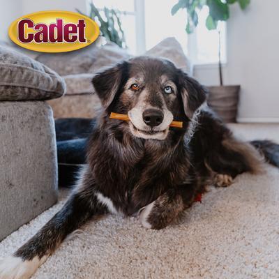 Show full view: Cadet Chewalicious Classic Chewy Rolls Peanut Butter Flavor Dog Chews, 15 count slide 5 of 12