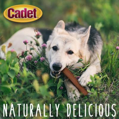 Show full view: Cadet Chewalicious Chewy 'N Savory Rolls Duck Flavor Dog Chews, 2 count slide 5 of 10