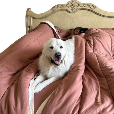 Show full view: Splitz Cozy Blanket for Pet Parents, Coastal Ivory, Queen slide 2 of 11