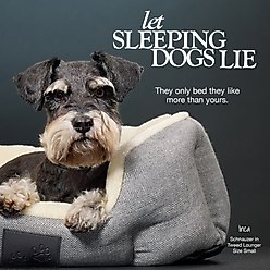 Pet Passion Mello Ultra Luxe Dog Bed, Charcoal Tweed, Large slide 2 of 5