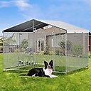 LovMor Outdoor Dog Kennel with Roof, 7.5 x 7.5 x 5.6-ft