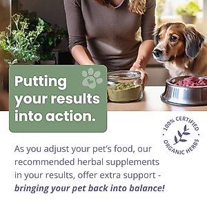 Glacier Peak Holistics Pet Intolerance Test Kit