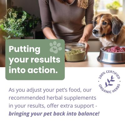 Show full view: Glacier Peak Holistics Pet Intolerance Test Kit slide 10 of 11