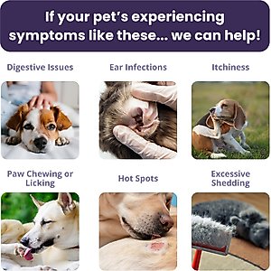 Glacier Peak Holistics Pet Intolerance Test Kit