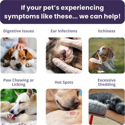 Show full view: Glacier Peak Holistics Pet Intolerance Test Kit slide 5 of 11