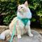 Show in main carousel: Travel Cat Jackson Galaxy Cat Harness & Leash Set, Aqua, Medium: 13.7 to 19.3-in chest slide 9 of 11