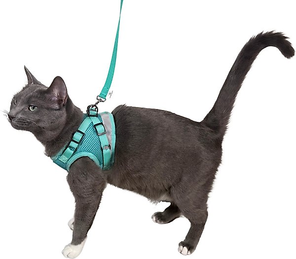 Show full view: Travel Cat Jackson Galaxy Cat Harness & Leash Set, Aqua, Medium: 13.7 to 19.3-in chest slide 9 of 10