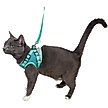 Show in main carousel: Travel Cat Jackson Galaxy Cat Harness & Leash Set, Aqua, Medium: 13.7 to 19.3-in chest slide 9 of 10