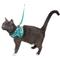 Show in main carousel: Travel Cat Jackson Galaxy Cat Harness & Leash Set, Aqua, Medium: 13.7 to 19.3-in chest slide 10 of 11
