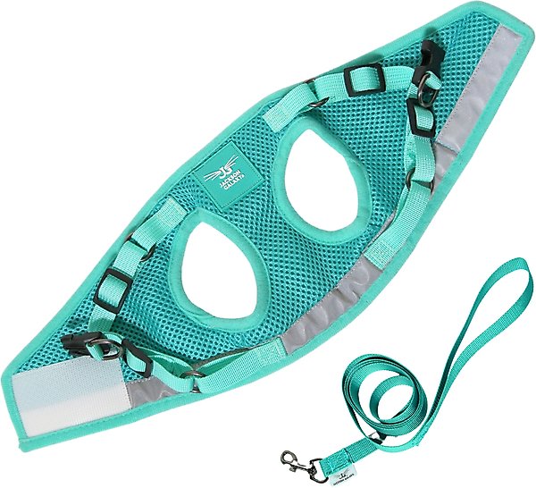 Show full view: Travel Cat Jackson Galaxy Cat Harness & Leash Set, Aqua, Medium: 13.7 to 19.3-in chest slide 7 of 10