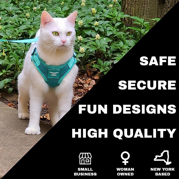 Show full view: Travel Cat Jackson Galaxy Cat Harness & Leash Set, Aqua, Medium: 13.7 to 19.3-in chest slide 5 of 10
