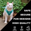 Show in main carousel: Travel Cat Jackson Galaxy Cat Harness & Leash Set, Aqua, Medium: 13.7 to 19.3-in chest slide 5 of 10
