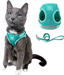 Travel Cat Jackson Galaxy Cat Harness & Leash Set, Aqua, Medium: 13.7 to 19.3-in chest