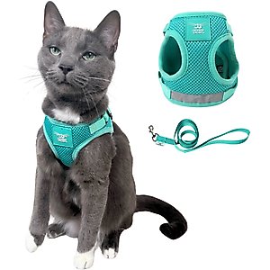 Travel Cat Jackson Galaxy Cat Harness & Leash Set, Aqua, Medium: 13.7 to 19.3-in chest