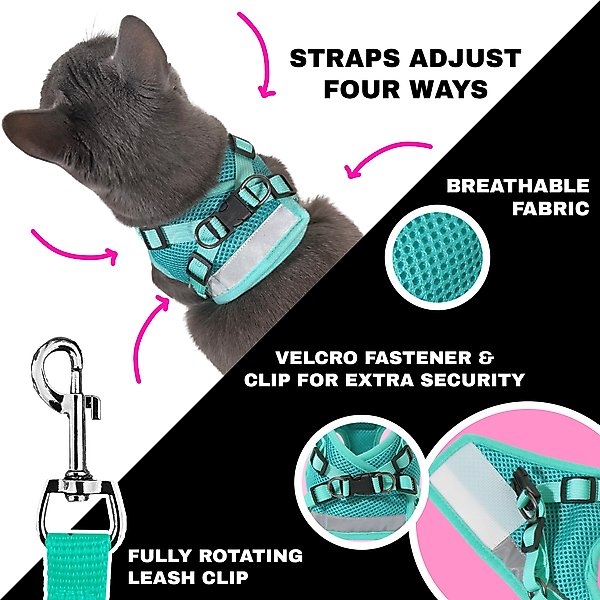 Show full view: Travel Cat Jackson Galaxy Cat Harness & Leash Set, Aqua, Medium: 13.7 to 19.3-in chest slide 3 of 10