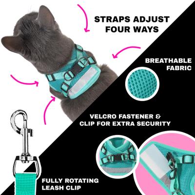 Show full view: Travel Cat Jackson Galaxy Cat Harness & Leash Set, Aqua, Medium: 13.7 to 19.3-in chest slide 4 of 11