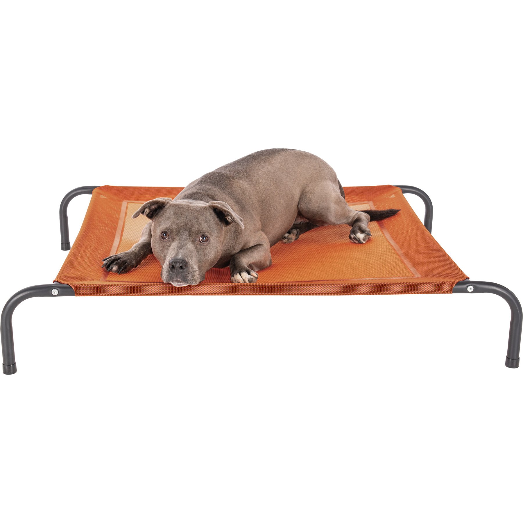FurHaven Elevated Dog & Cat Bed, Terracotta Red, Medium