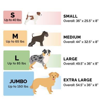 Show full view: FurHaven Elevated Dog & Cat Bed, Capri Blue, Medium slide 10 of 11