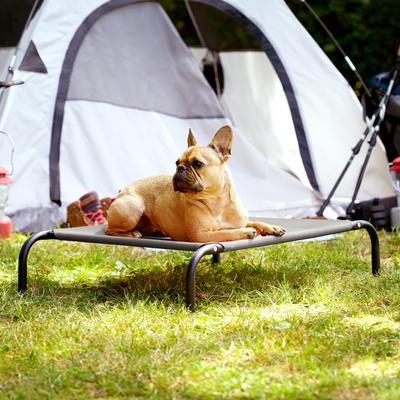 Show full view: FurHaven Elevated Dog & Cat Bed, Graphite Gray, Small slide 3 of 10