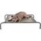 Show in main carousel: FurHaven Elevated Dog & Cat Bed, Graphite Gray, Medium slide 1 of 10