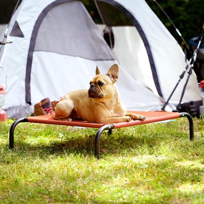 Show full view: FurHaven Elevated Dog & Cat Bed, Terracotta Red, Small slide 3 of 10