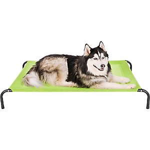 FurHaven Elevated Dog & Cat Bed, Gecko Green, X-Large