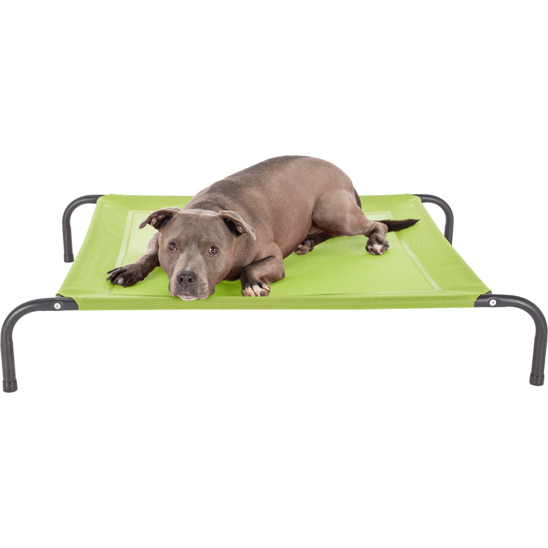 FurHaven Elevated Dog & Cat Bed, Gecko Green, Medium