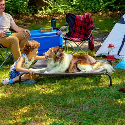 Show full view: FurHaven Elevated Dog & Cat Bed, Graphite Gray, Large slide 4 of 11