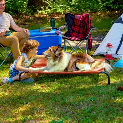 Show full view: FurHaven Elevated Dog & Cat Bed, Terracotta Red, Large slide 4 of 11