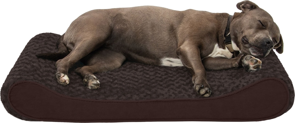 FURHAVEN Ultra Plush Luxe Lounger Orthopedic Cat Dog Bed with
