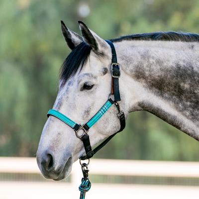 Show full view: Kensington Protective Products Premium Reflective Horse Nylon Breakaway Halter, Average, Atlantis slide 2 of 10