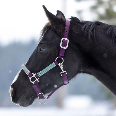 Show full view: Kensington Protective Products Premium Reflective Nylon Horse Halter, Small, Imperial Jade slide 2 of 8