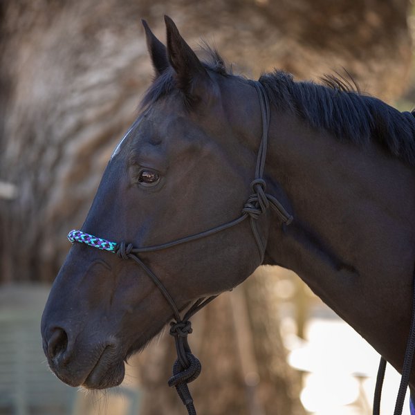 Kensington Protective Products Clinician Rope Horse Halter