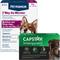 Show in main carousel: Capstar Flea Oral Treatment for Dogs, over 25-lbs, 6 Tablets + PetArmor 7 Way Dewormer for Hookworms, Roundworms & Tapeworms, 2 count slide 1 of 9