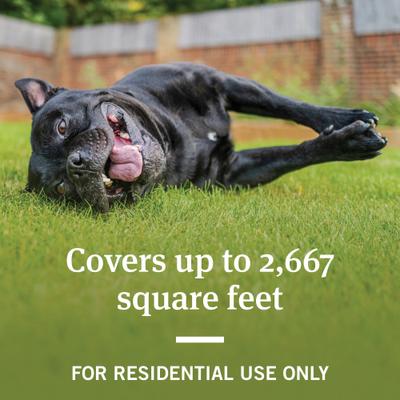 Show full view: Capstar Flea Oral Treatment for Cats, 2-25 lbs, 6 Tablets + PetArmor Home Yard & Premise Flea & Tick Spray Treatment, 32-oz bottle slide 8 of 9