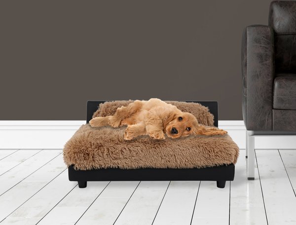 Club Nine Pets Roma Elevated Orthopedic Dog Bed